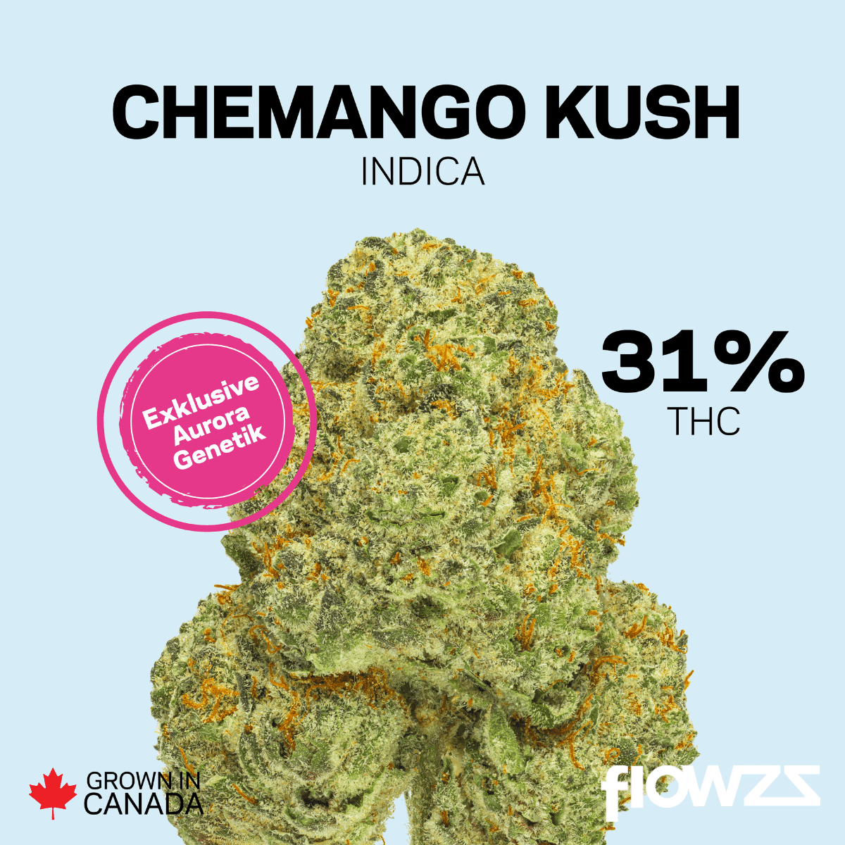 Copyright © 2025 Aurora Cannabis Inc. All Rights Reserved.