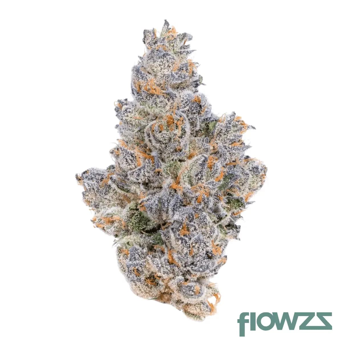 vop-23-1-marios-selection-lemonatti