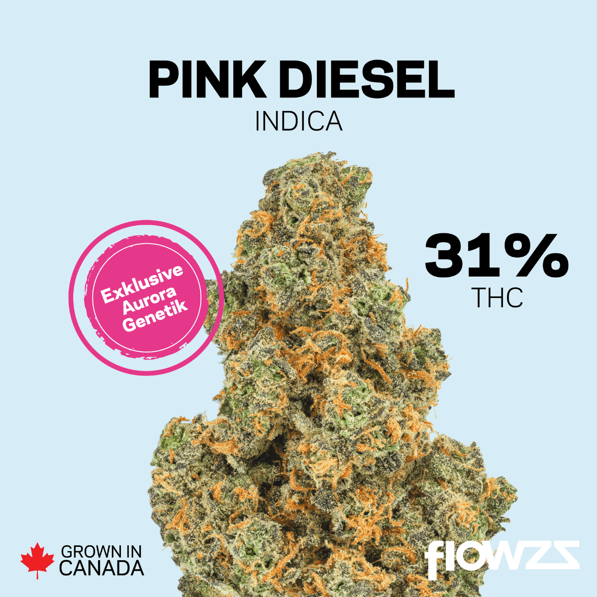 pedanios-31-1-pnd-ca-pink-diesel Copyright © 2025 Aurora Cannabis Inc. All Rights Reserved.