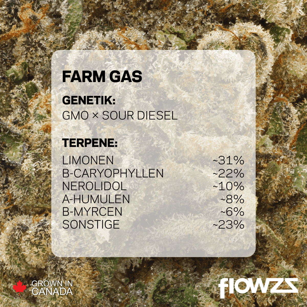 pedanios-27-1-frg-ca-farm-gas Copyright © 2025 Aurora Cannabis Inc. All Rights Reserved.