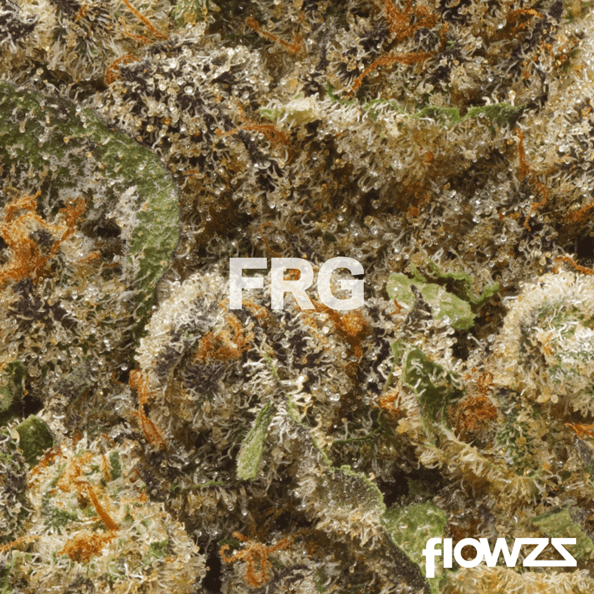 pedanios-27-1-frg-ca-farm-gas Copyright © 2025 Aurora Cannabis Inc. All Rights Reserved.