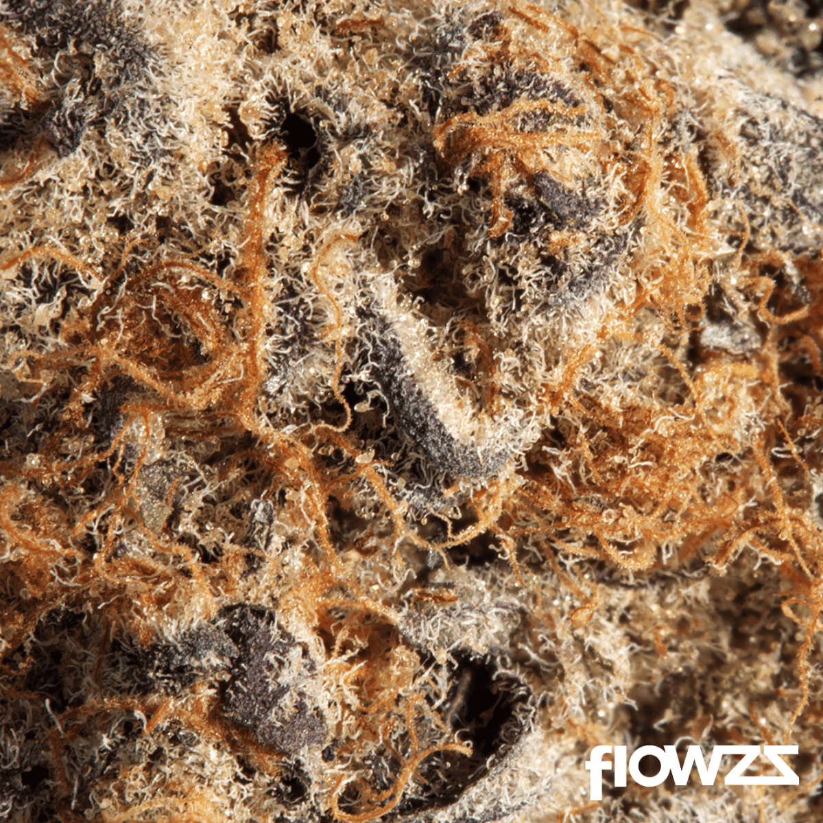 Cannabis flos 27/1 CDA Ku. Flapjacks