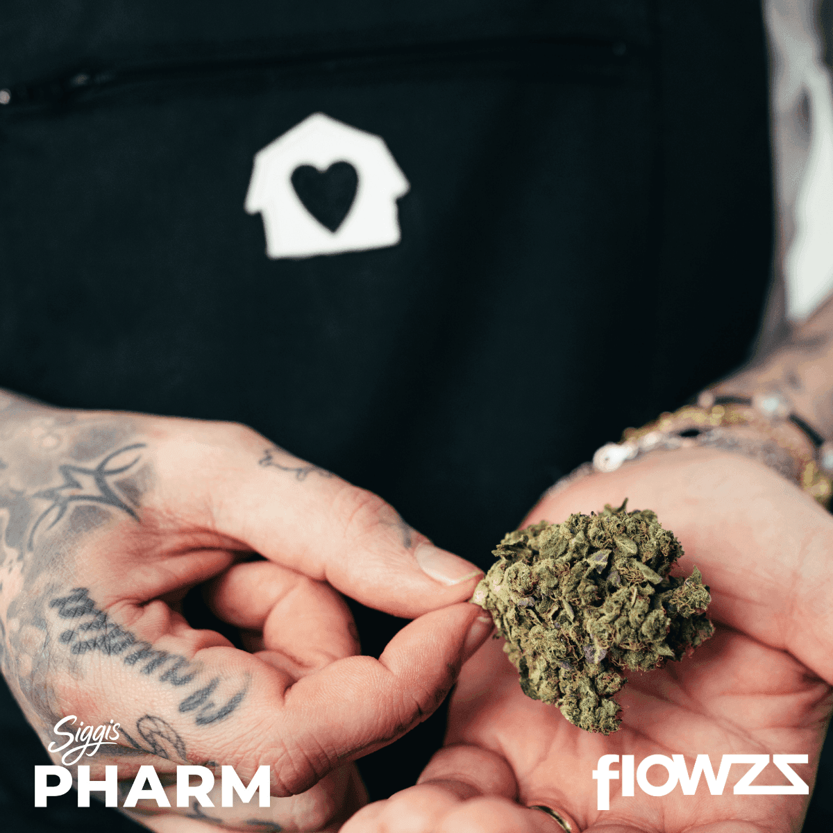 siggis-pmnz-28-01-siggis-pfefferminze