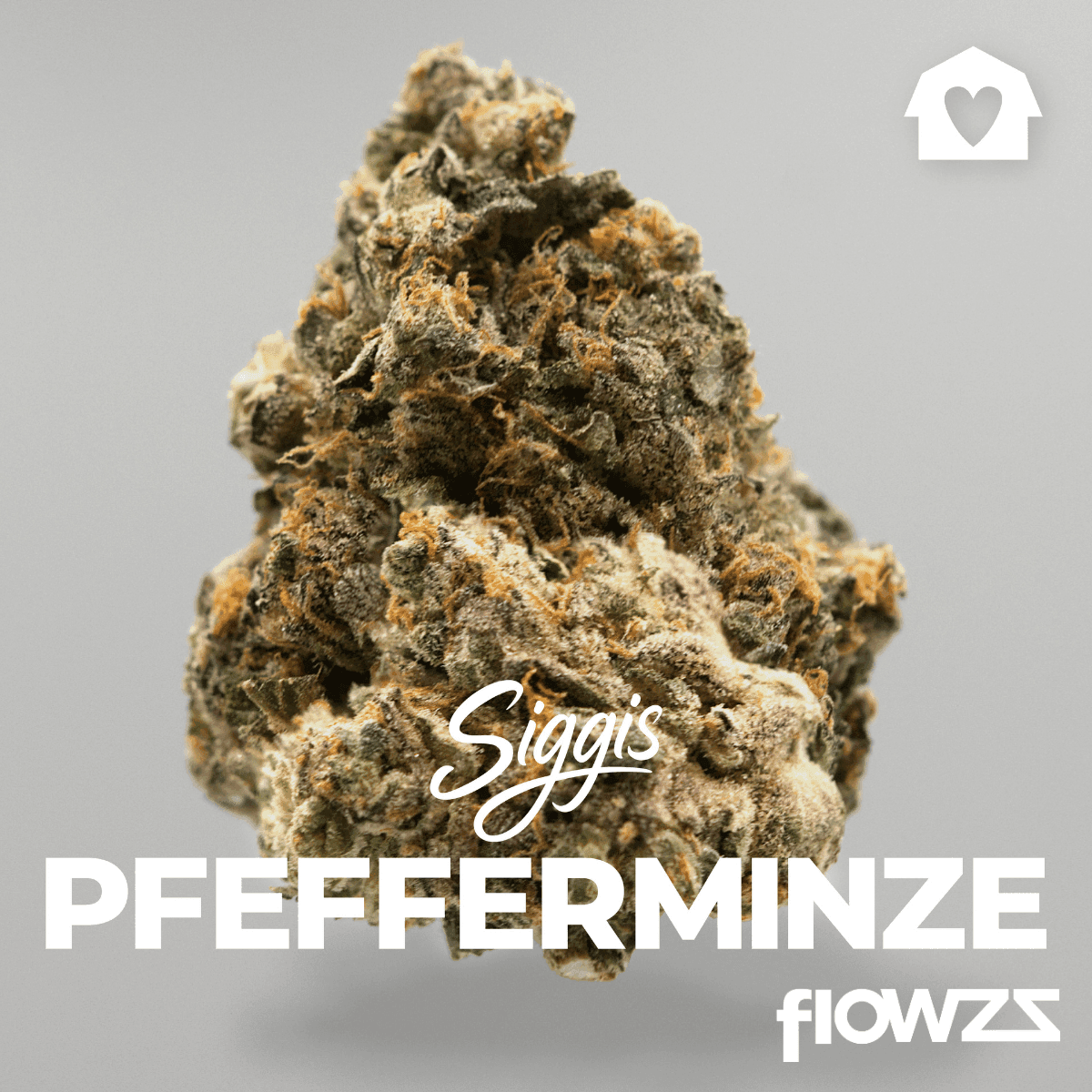 siggis-pmnz-28-01-siggis-pfefferminze