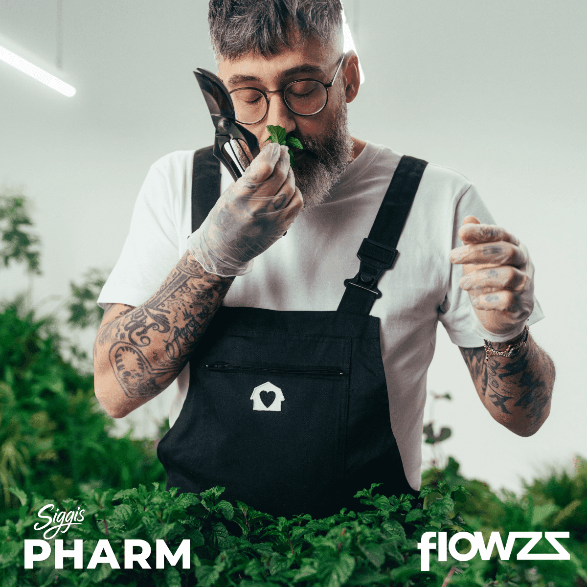 siggis-pmnz-28-01-siggis-pfefferminze