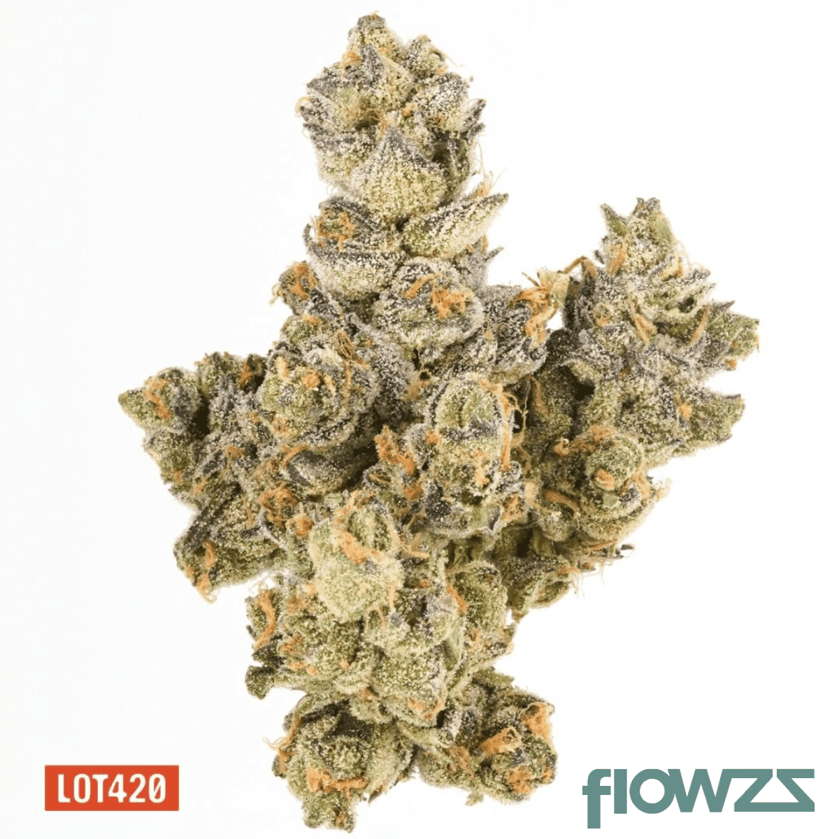 lot-420-ab-pt-apples-bananas