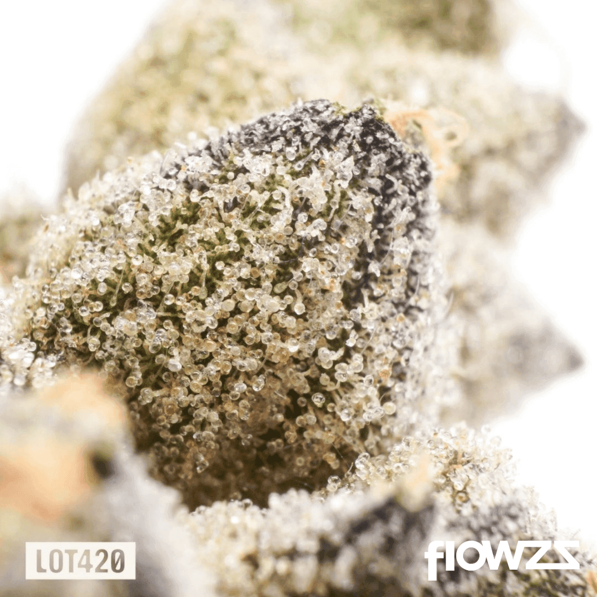 lot-420-ab-pt-apples-bananas