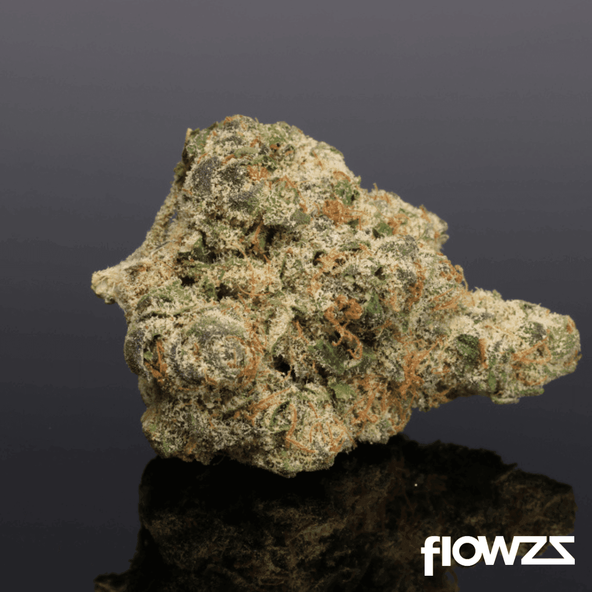 Casper’s No. 8 Poison Runtz 26/1