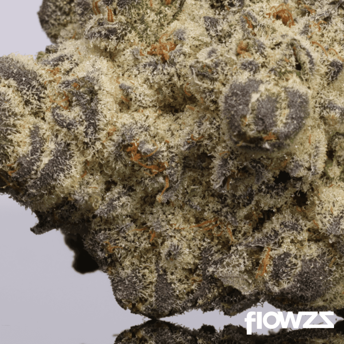 Casper’s No. 3 Space Velvet 26/1