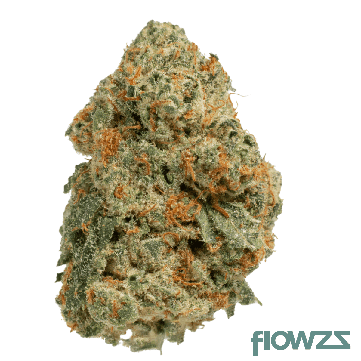 medical-saints-24-1-ggl-green-glow