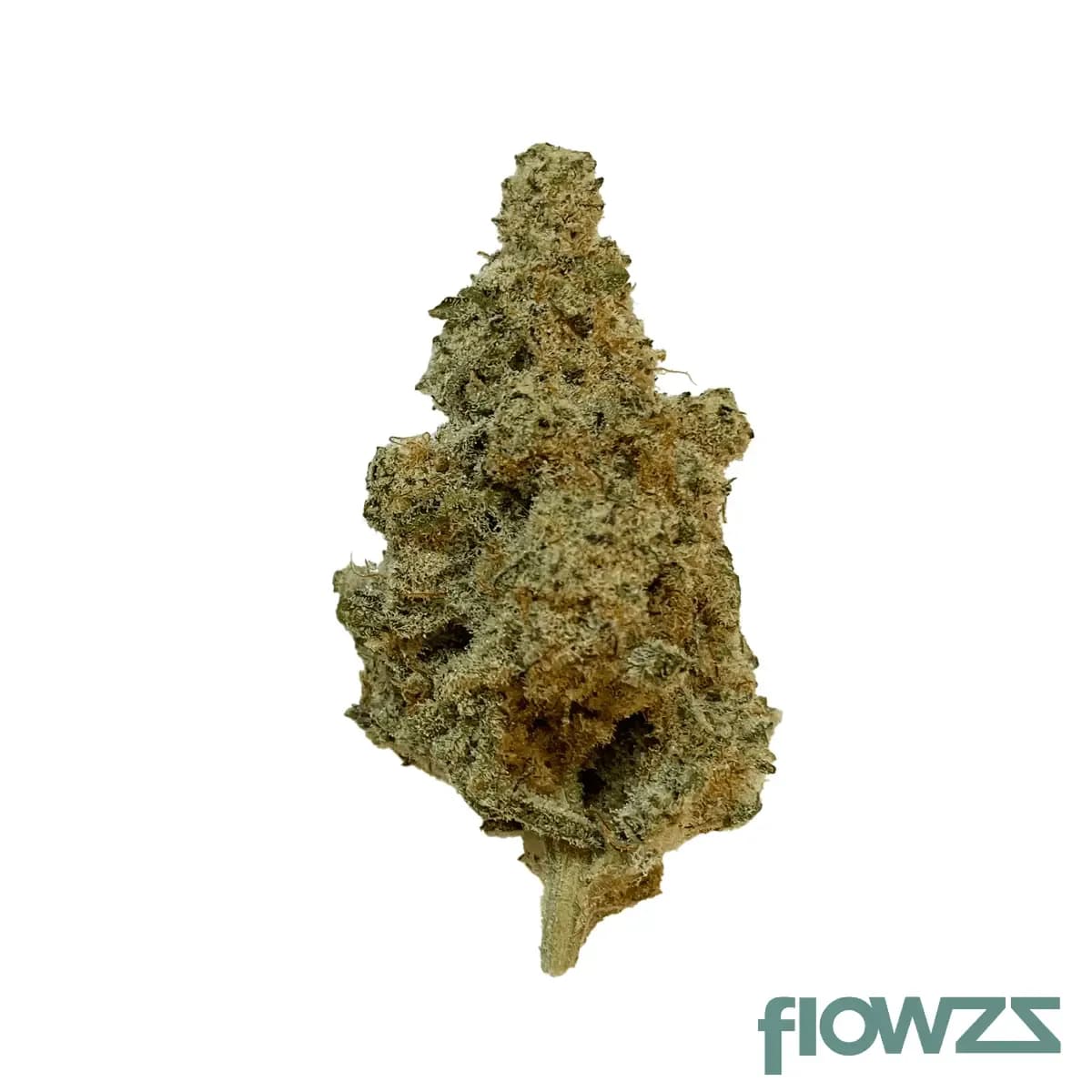 420 Evolution 25/1 CA MSP Masterpiece 