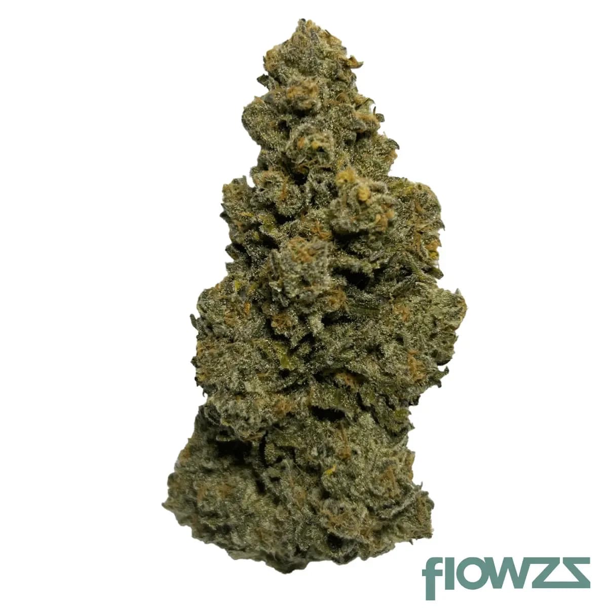 wellford-aquaponic-29-1-bozys-cure