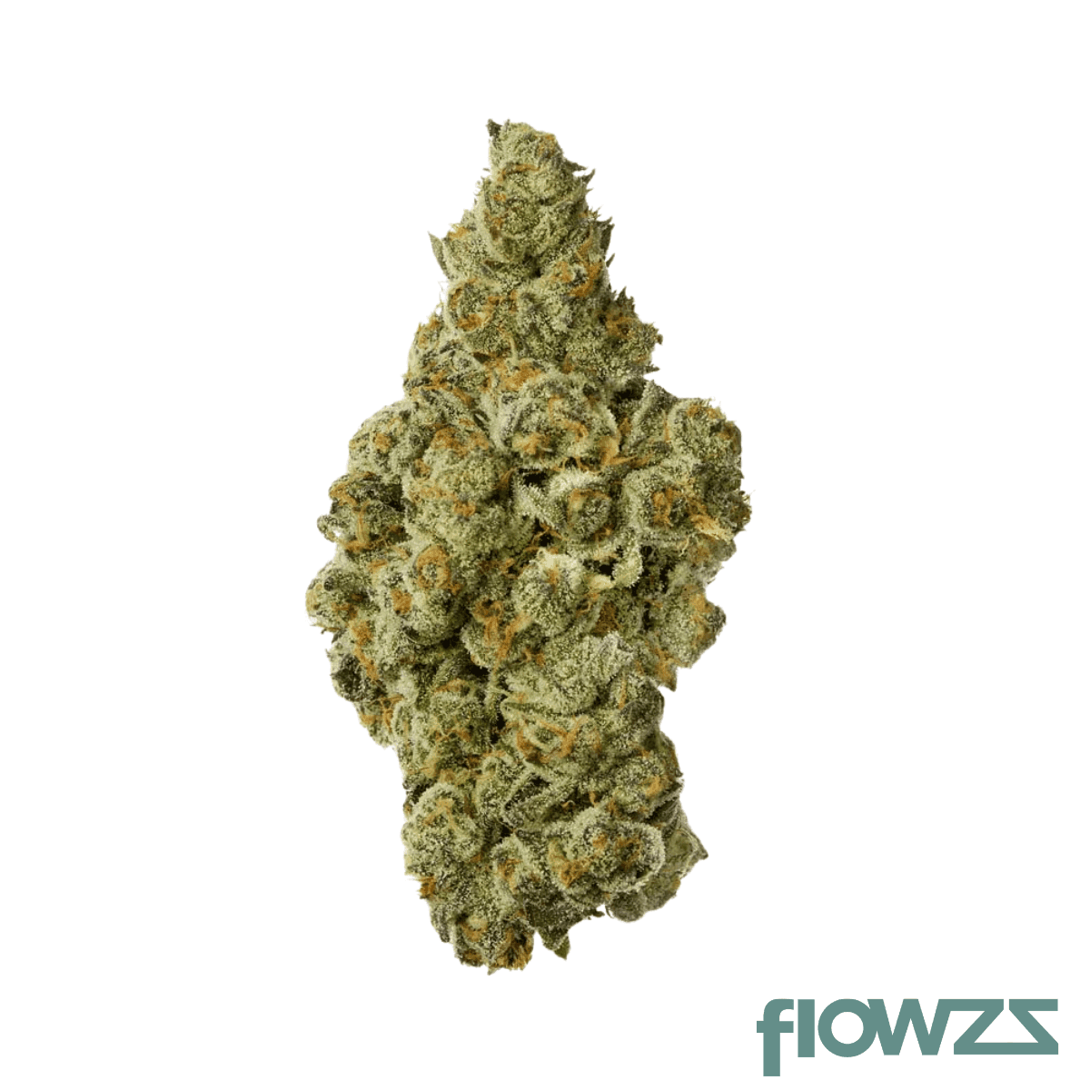 medical-saints-15-1-hcc-gth-ghost-train-haze