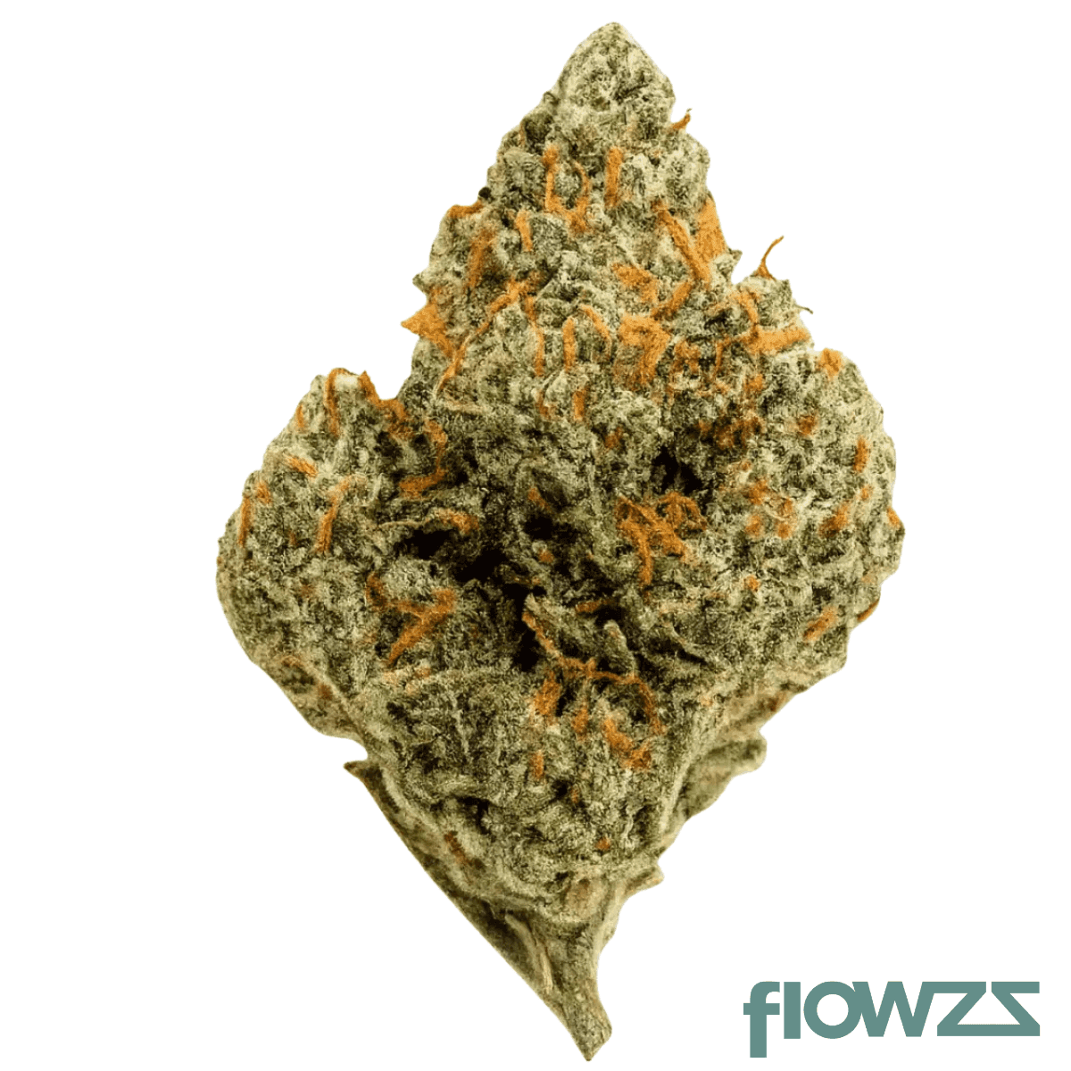 luana-kush-24-1-hippie-kush