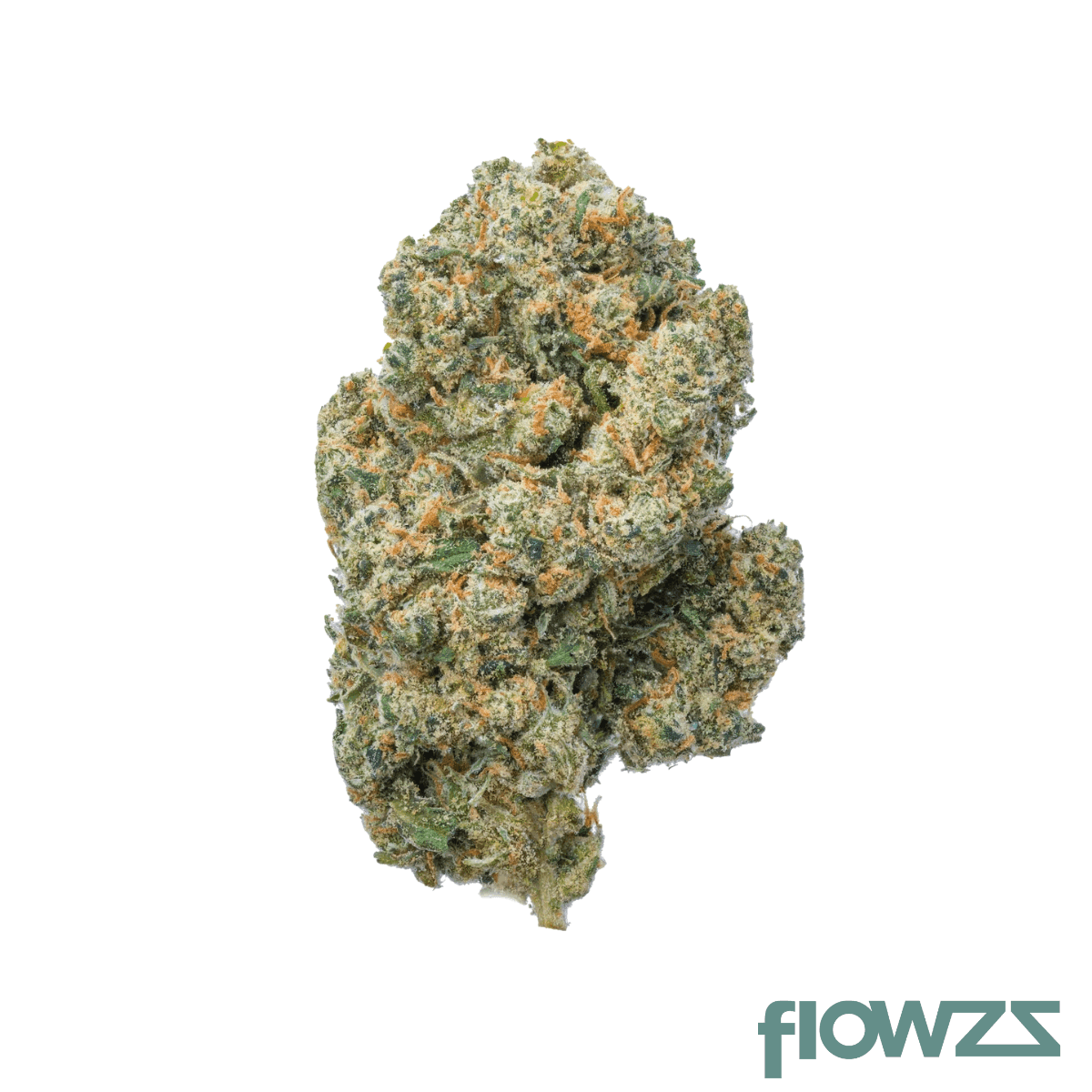 cannamedical-sativa-classic-sa-jack-herer