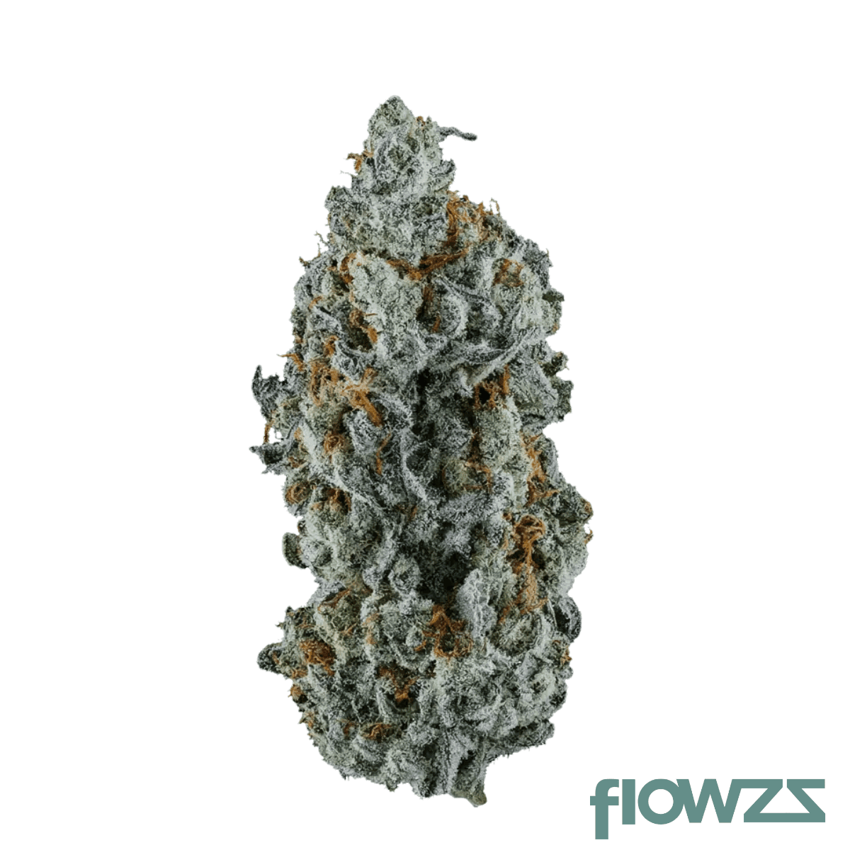 pop-up-no-5-23-1-frozen-desert