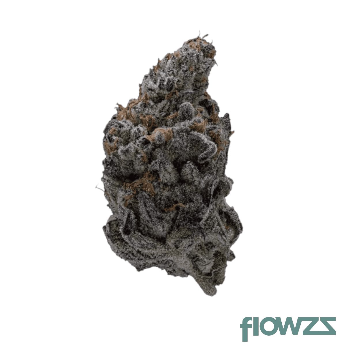 pop-up-no-6-25-1-devil-driver