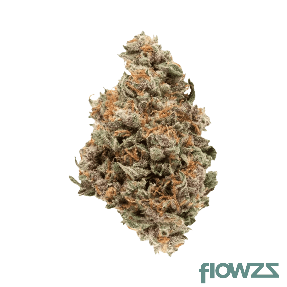 demecan-craft-tigerz-eye-31-1-jokerz-31-x-gastro-pop