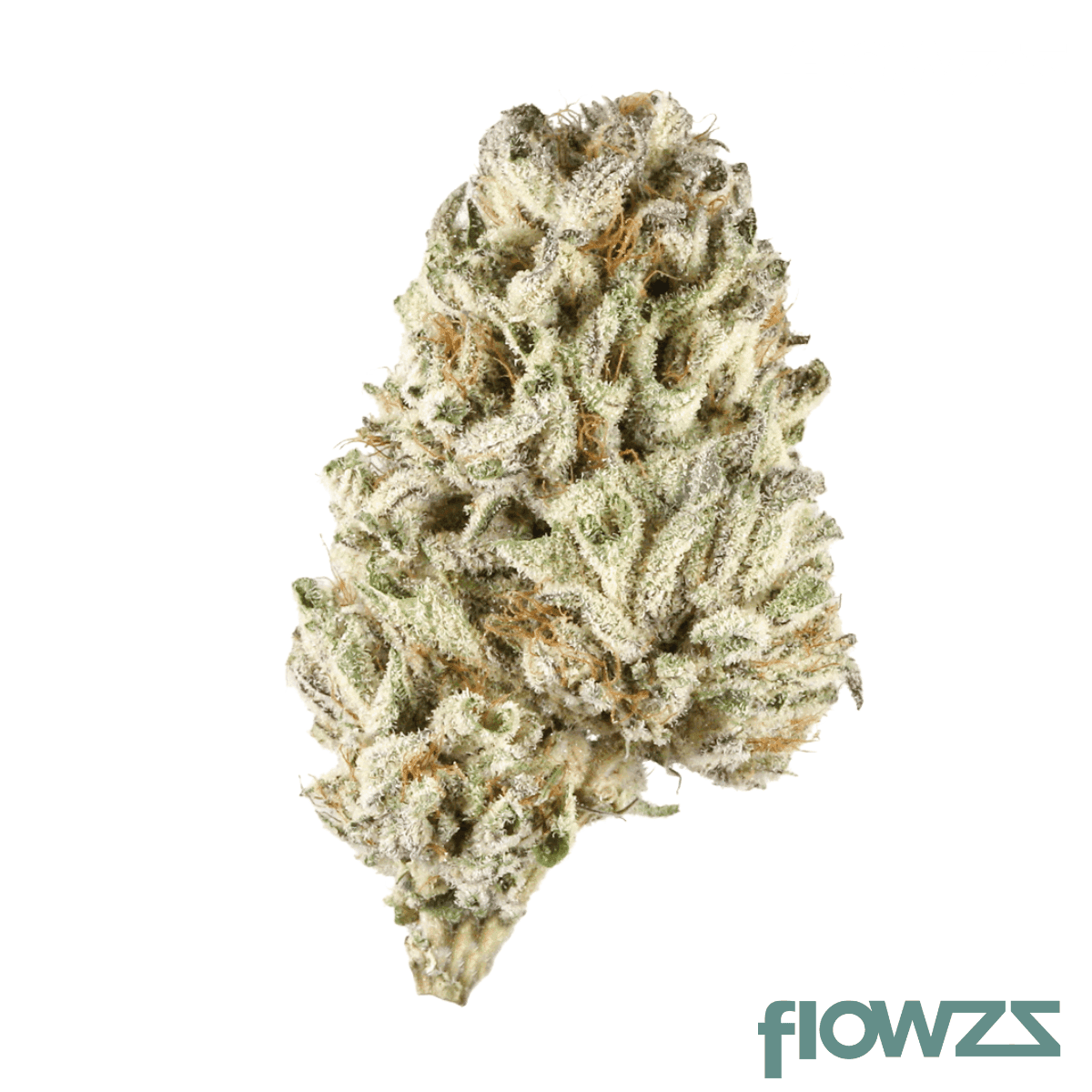 med-hybrid-bal-phcc-24-1-cherry-cookies