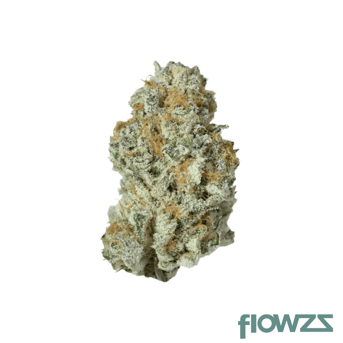 tweed-lmh-26-1-loud-mouth