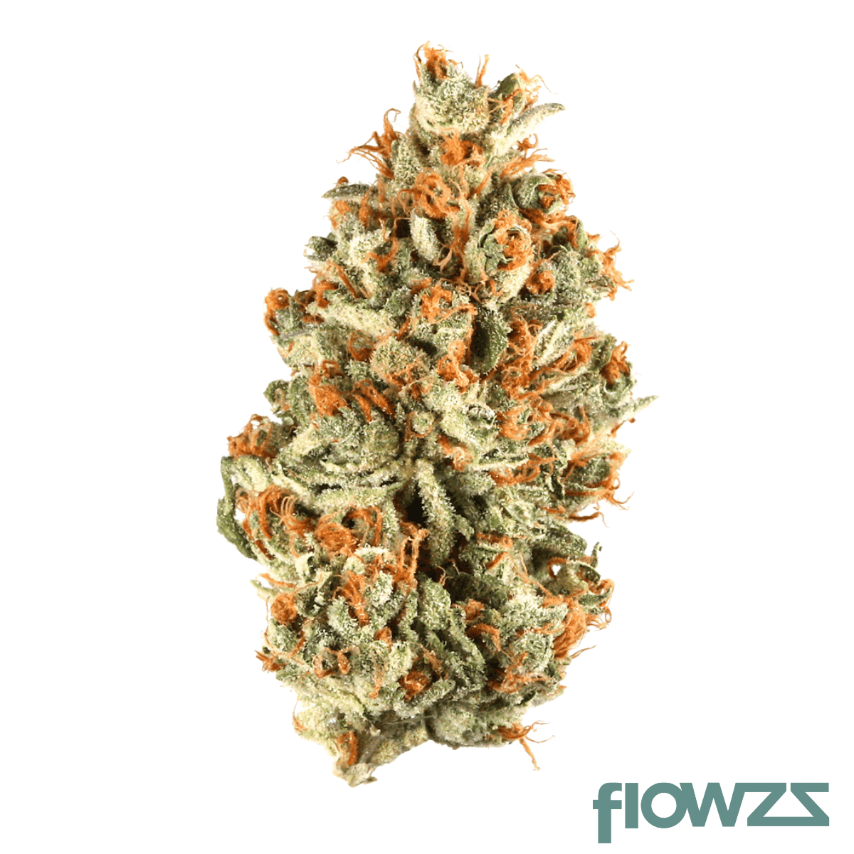 enua-30-1-tpm-ca-tropical-meltdown