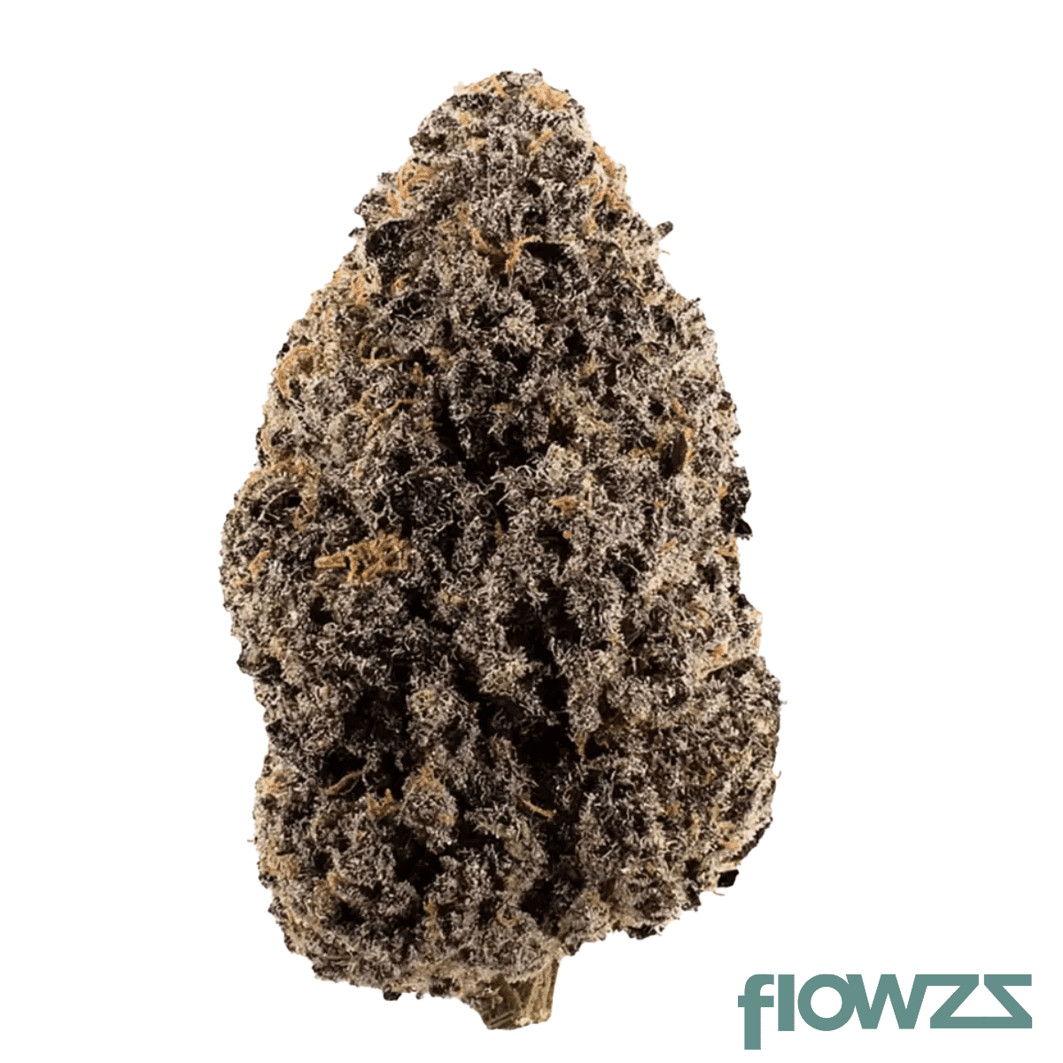 pop-up-no-2-22-1-rose-gold-runtz