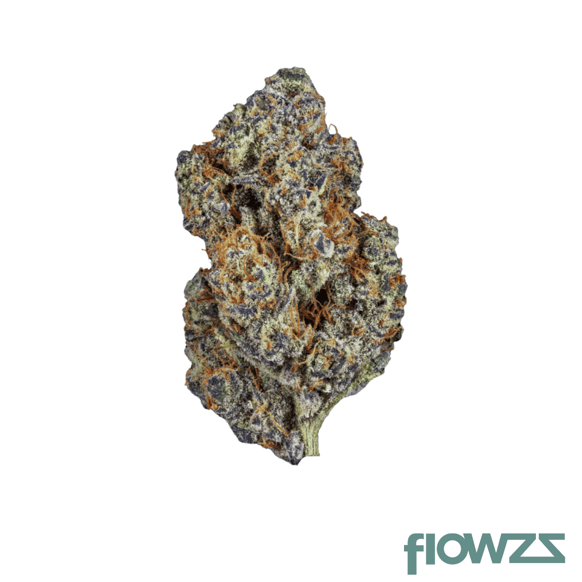 enua-30-1-bc-ca-cap-junky