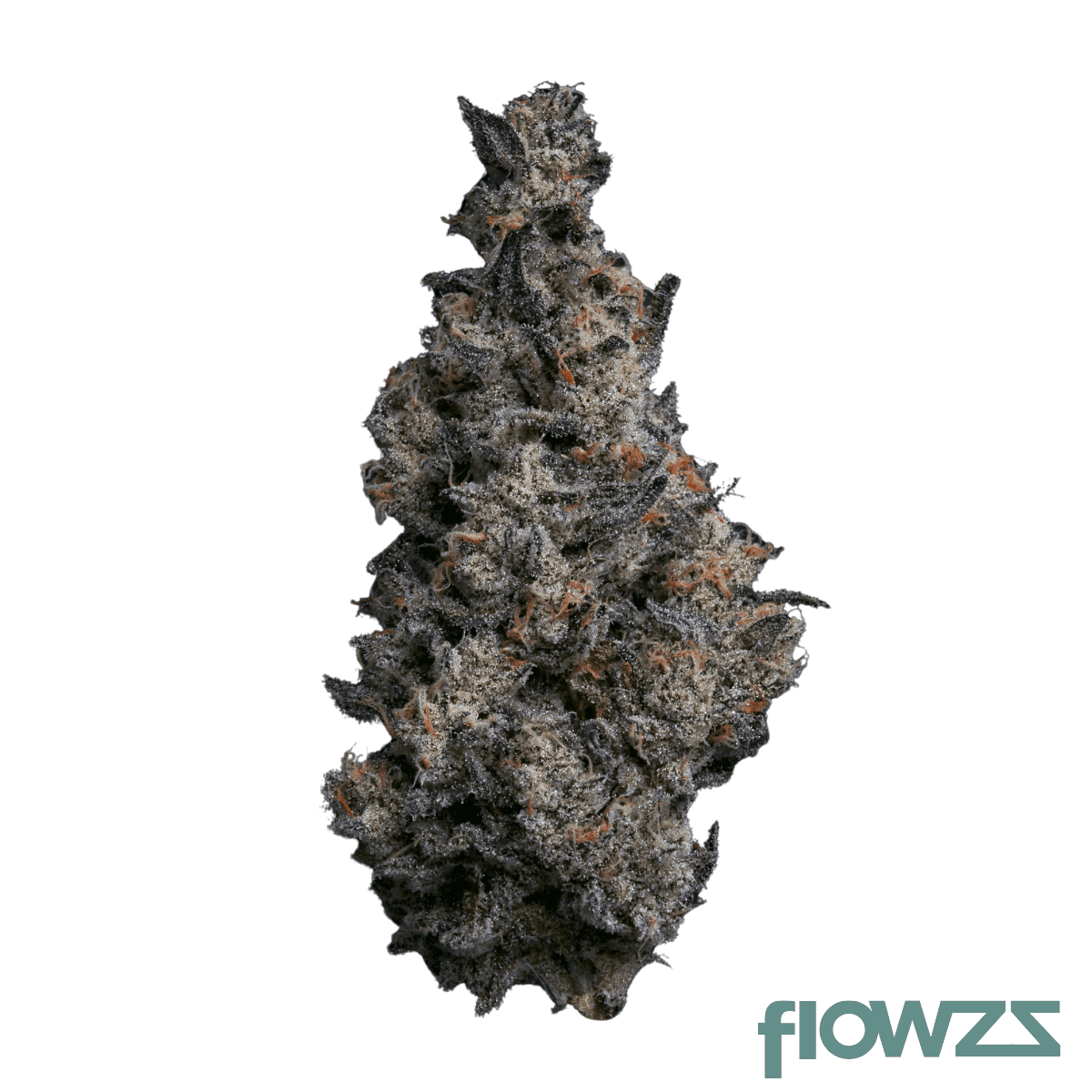 mgf-60-23-1-tribute-13