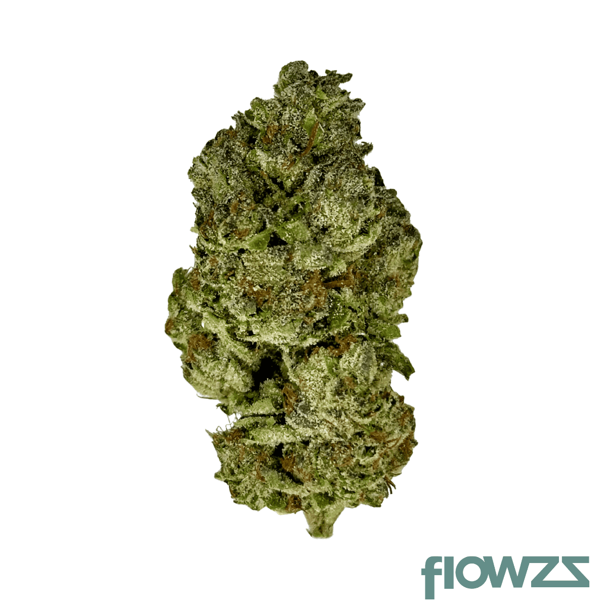 pop-up-no-11-30-1-ice-cream-man