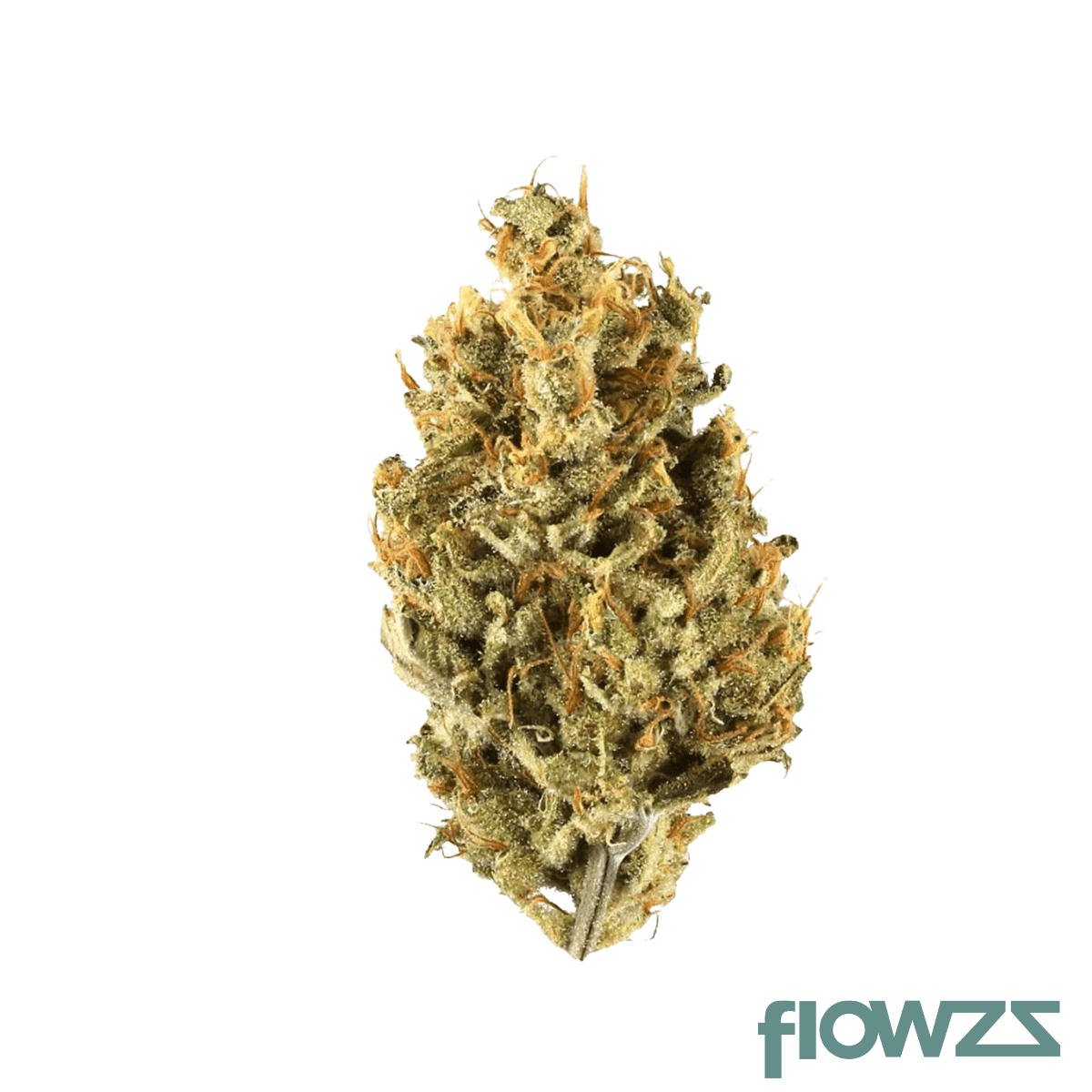 roxton-air-bd-25-1-flap-jacks