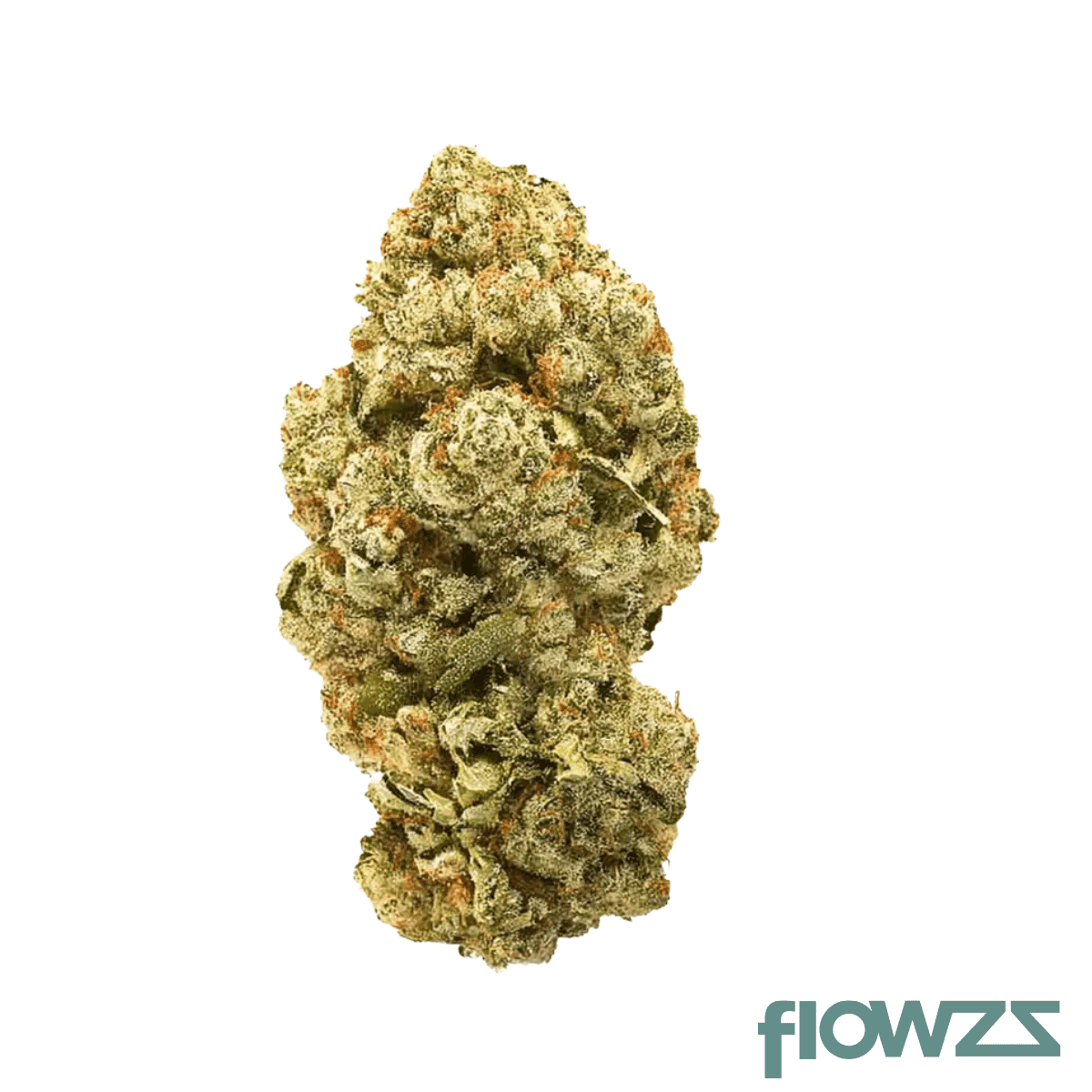 pop-up-no-10-30-1-facade