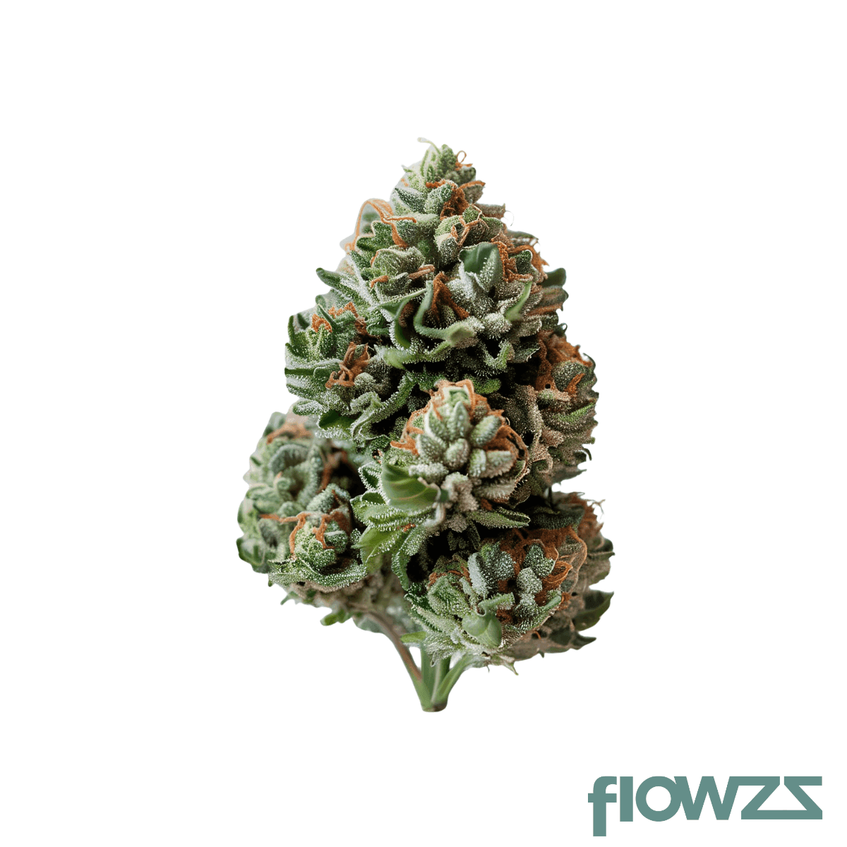 soma-og-28-1-super-boof