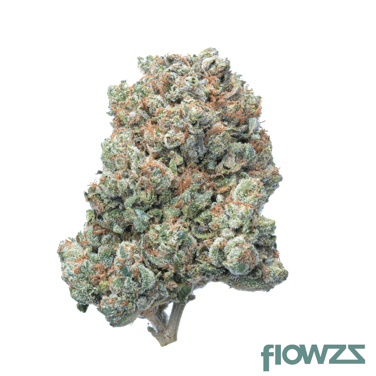 vlue-faz-33-1-falconz