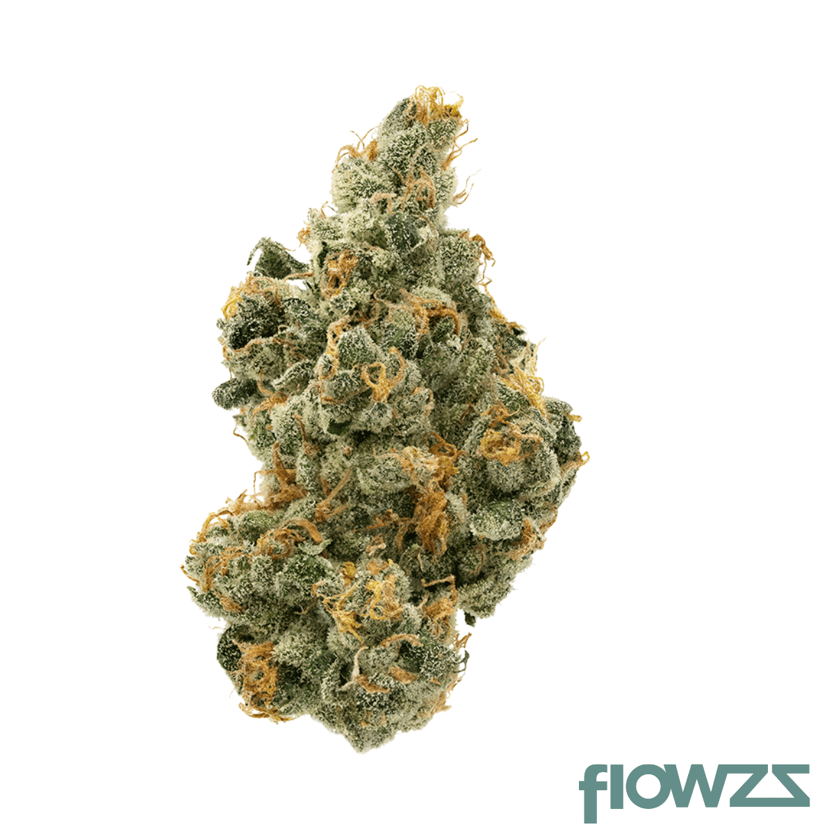 pop-up-no-13-26-1-purple-milk