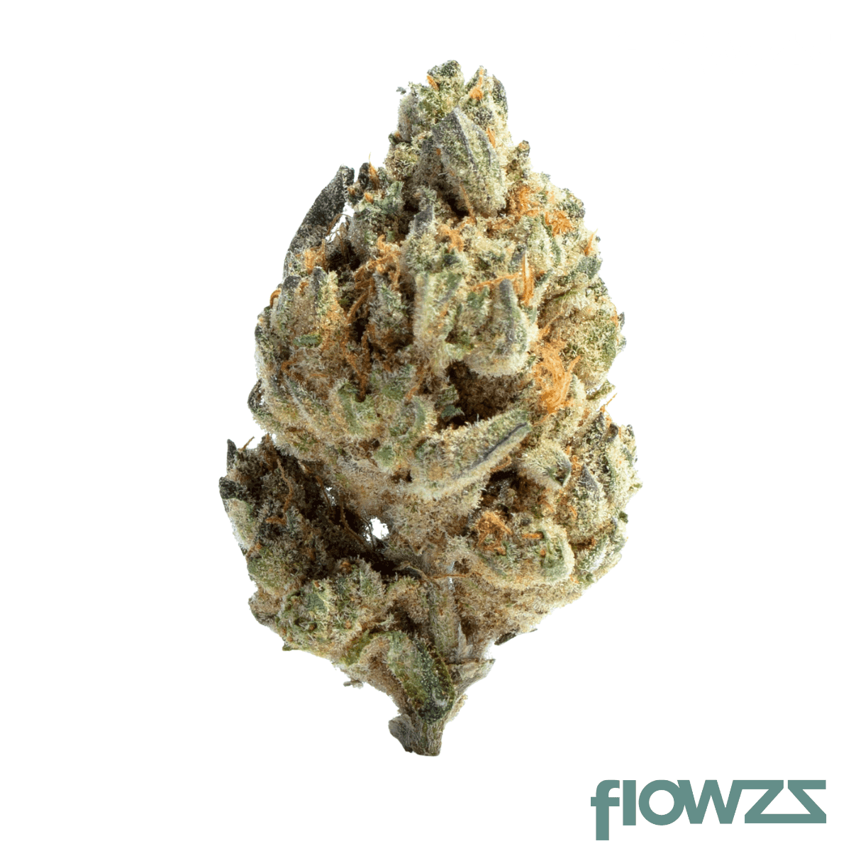 nice-29-1-lp-lotus-punch