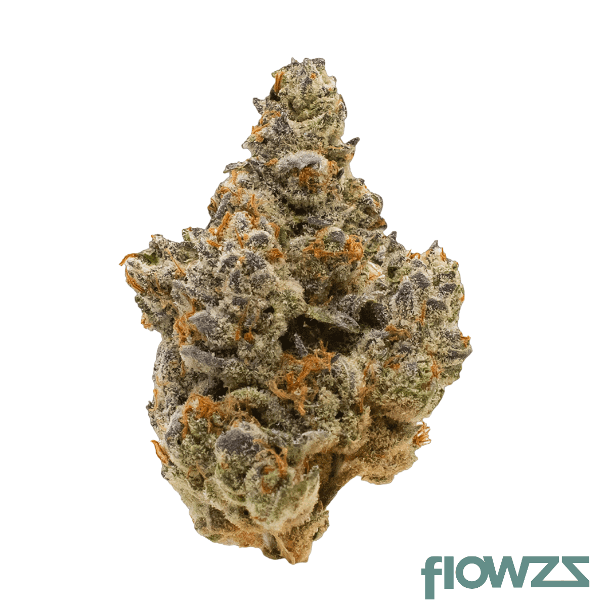 pop-up-no-1-24-1-gastro-pop