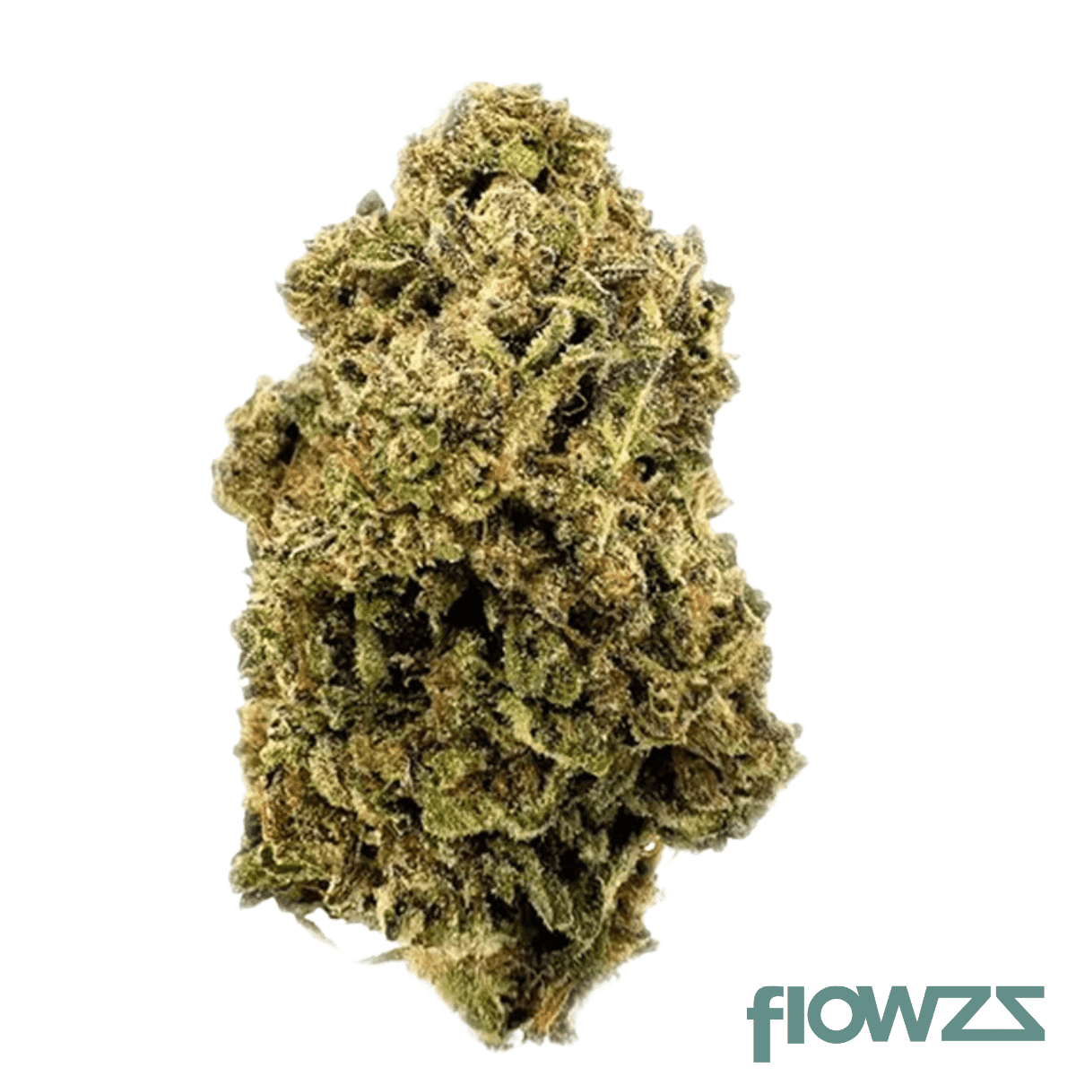 thc-akut-tm-30-bic-biscotti