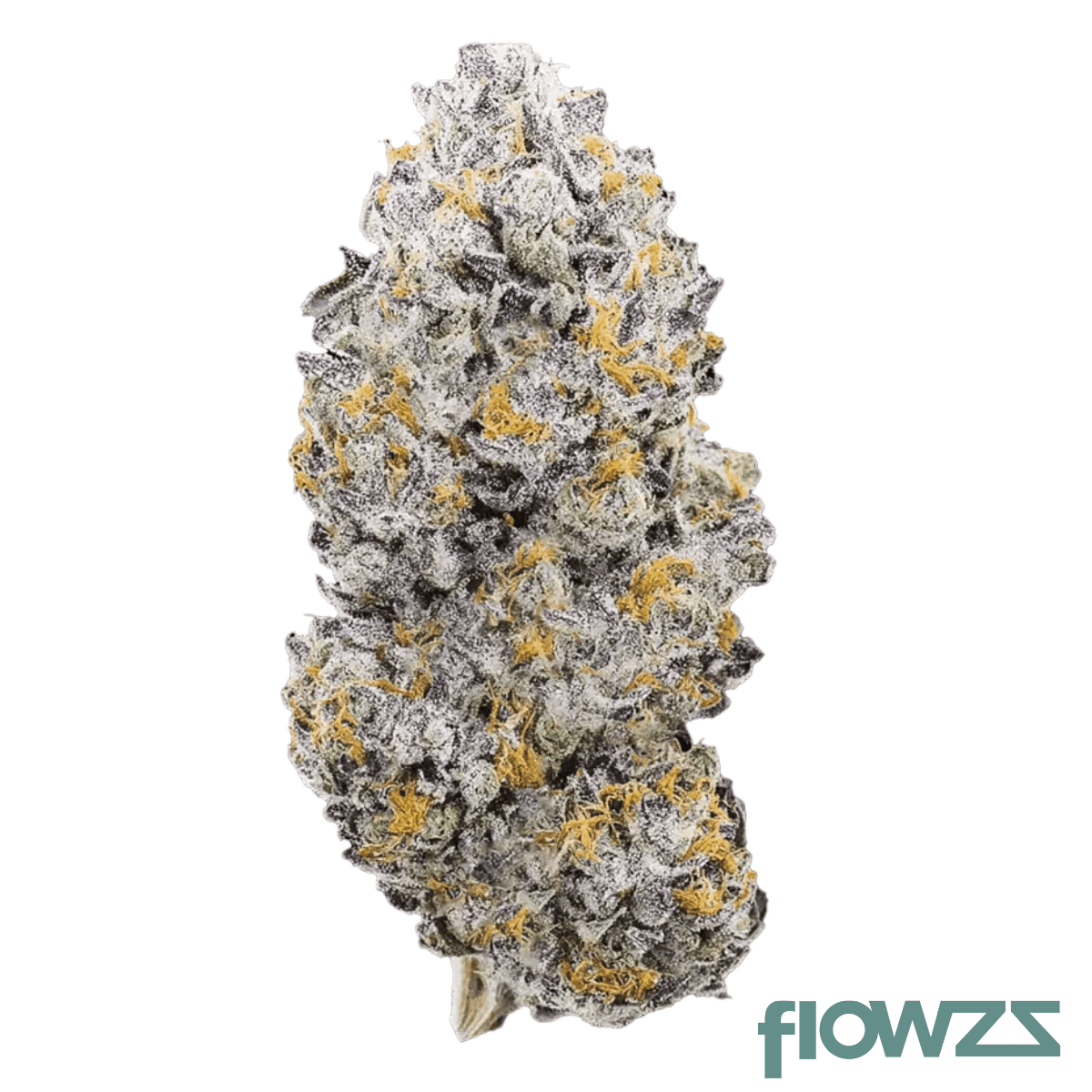 pop-up-no-1-24-1-facade