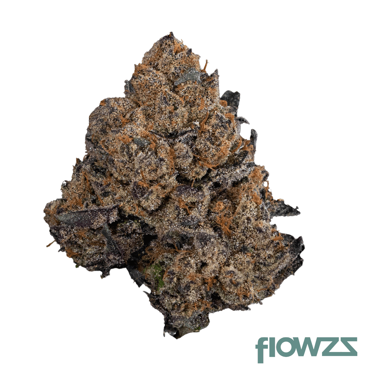 candoro-ethics-20-1-hybrid-soma-somango