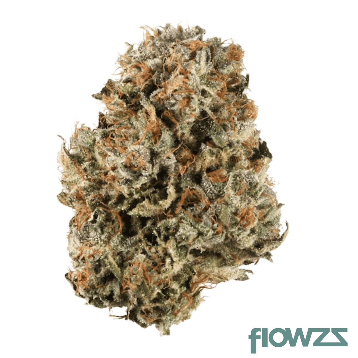 Pop Up No. 19 25/1 IBC