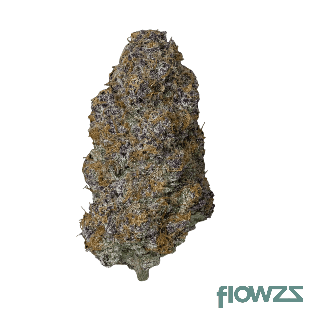 medical-saints-24-1-ptr-peach-tree