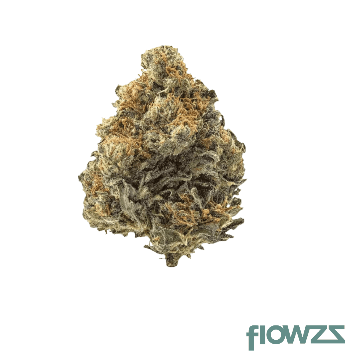 imc-lr-thc27-limonetti-rhino