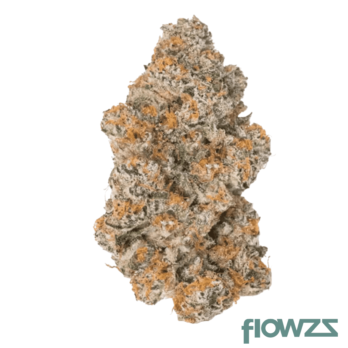 luana-24-1-durban-poison