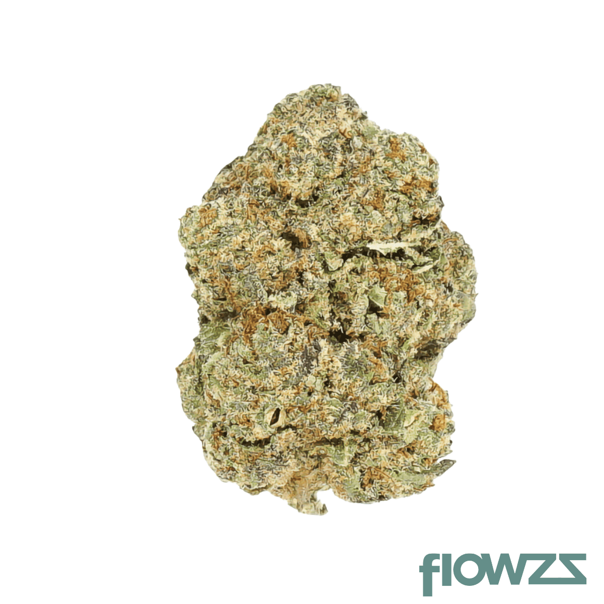 greyscale-hf-27-1-hawaiian-faanta