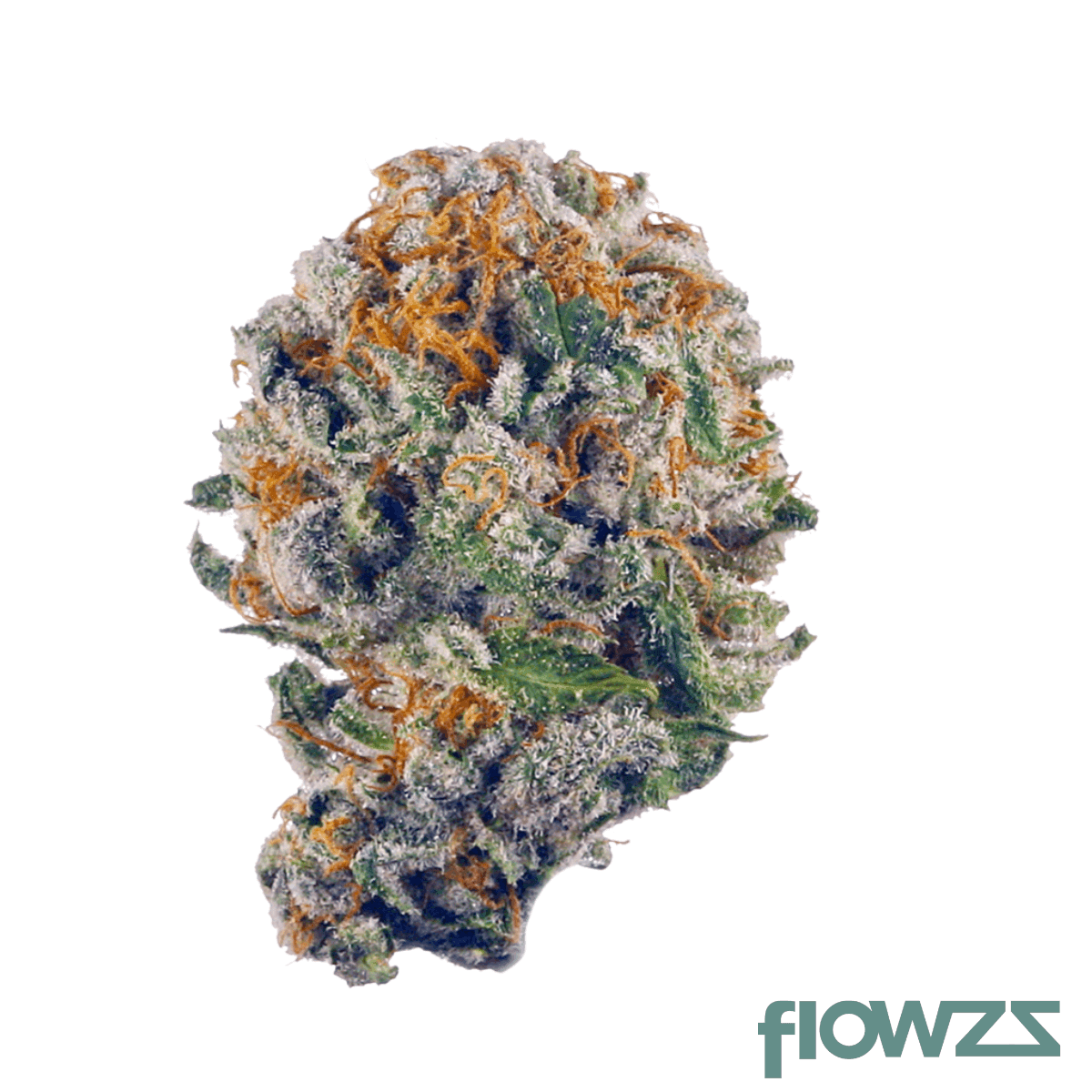 mgf-70-23-1-jokerz-31