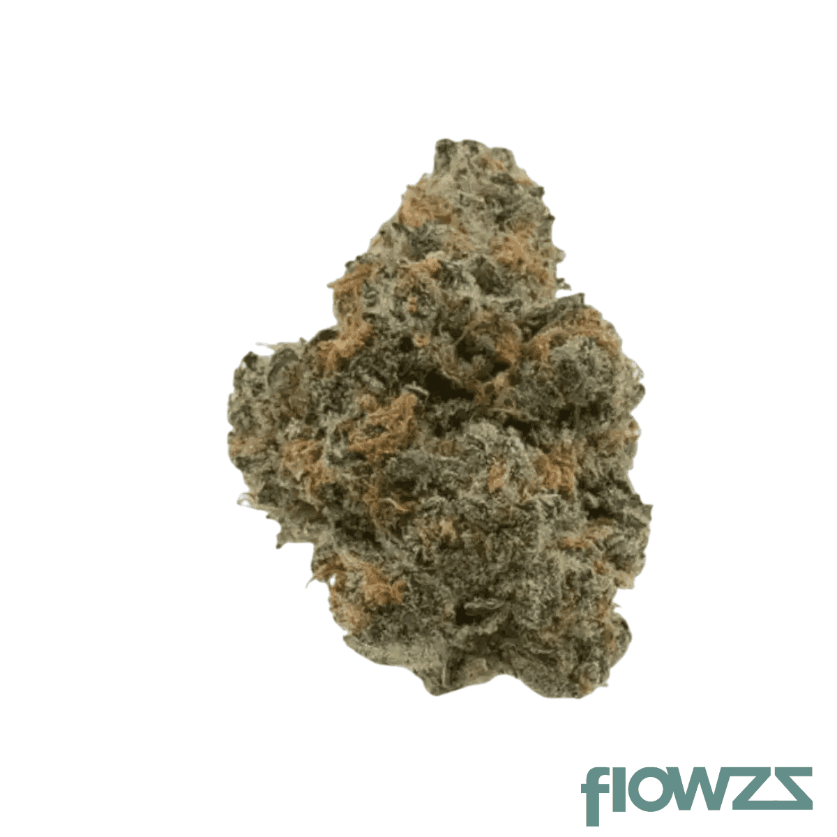 medicus-21-1-eza-wec-wedding-cake