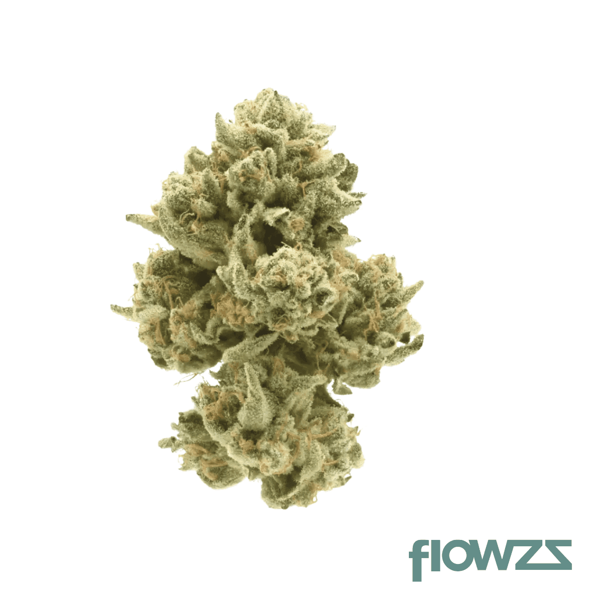 breezy-organics-rb-22-1-rainbow-belts