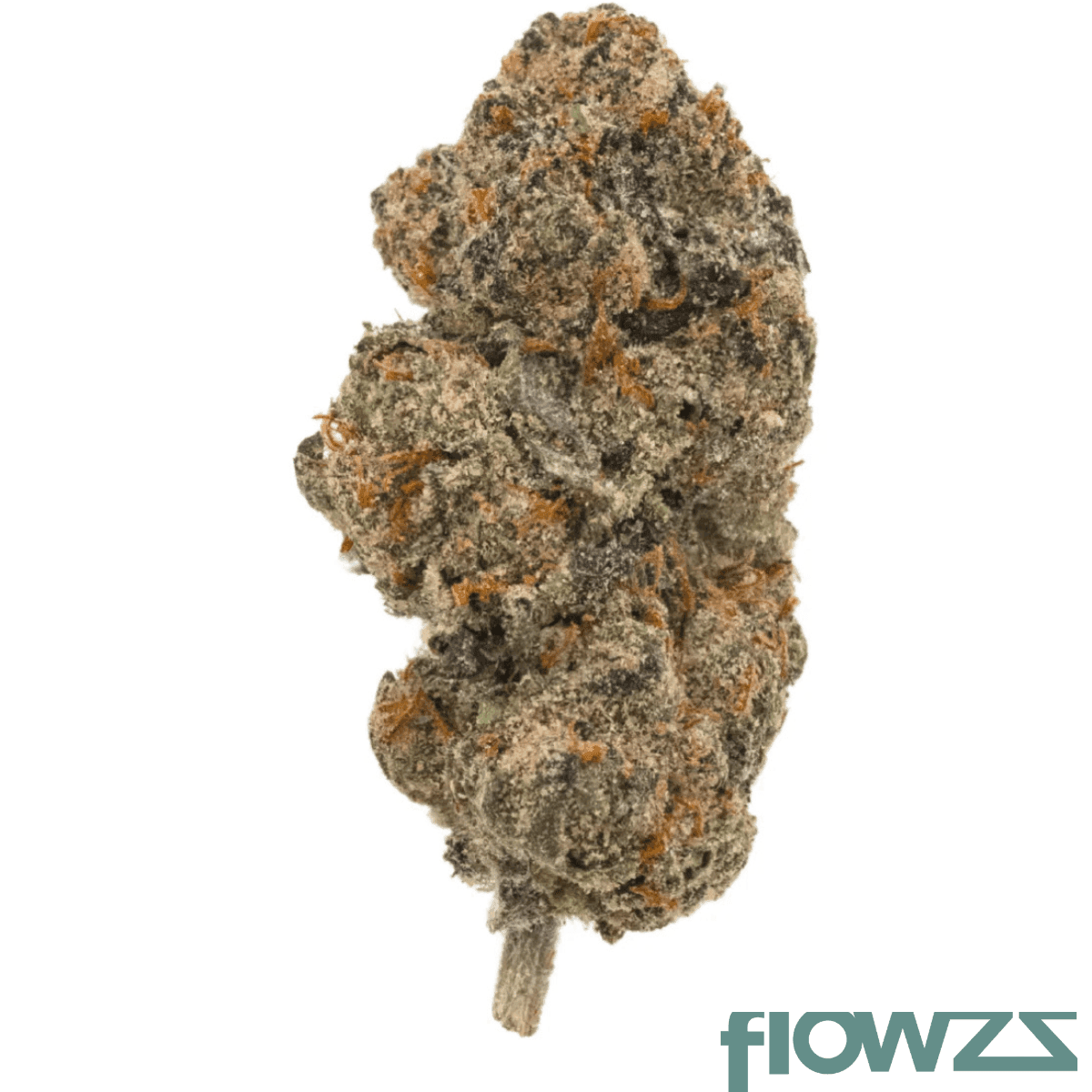 187-cannabisflower-ppp-thc22-phantasia-purp