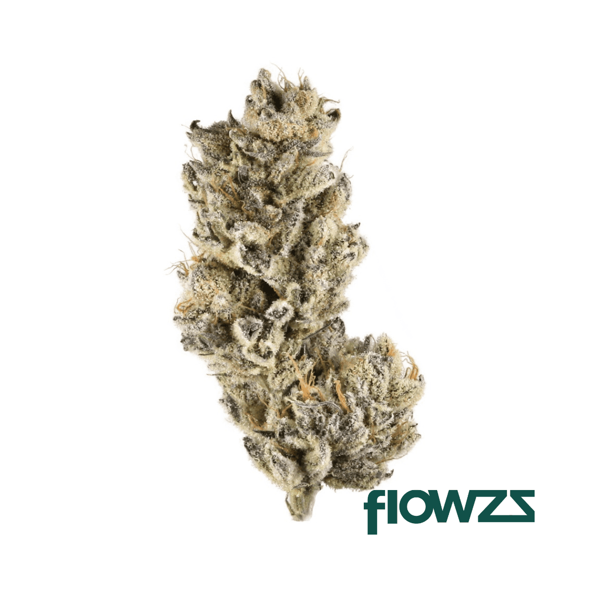 187-cannabisflower-fbp-thc-25-forbidden-punch