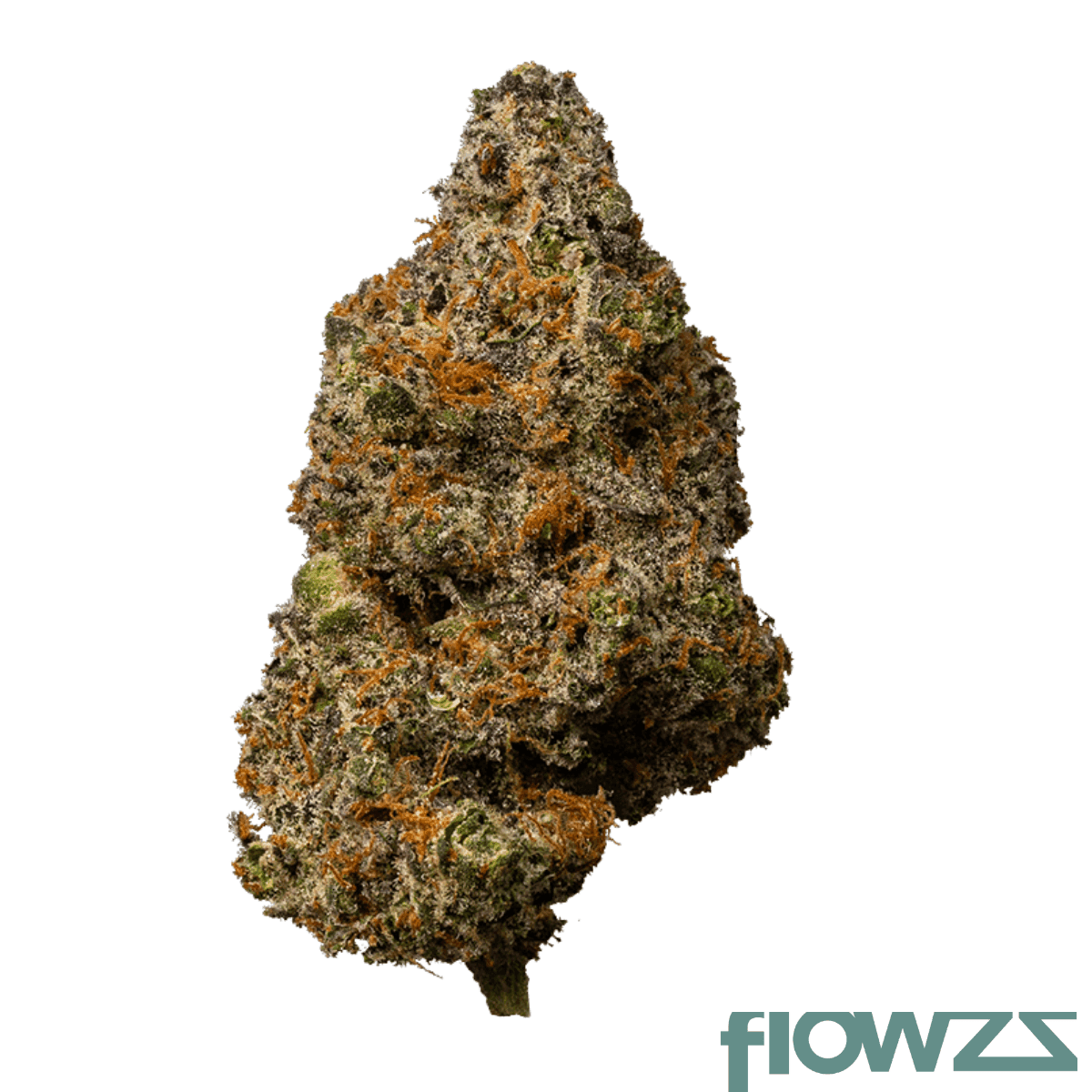 28-1-amici-cm-cereal-milk